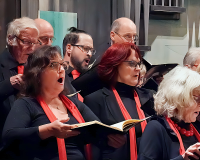 DSC07369 bearbeitet 1-1